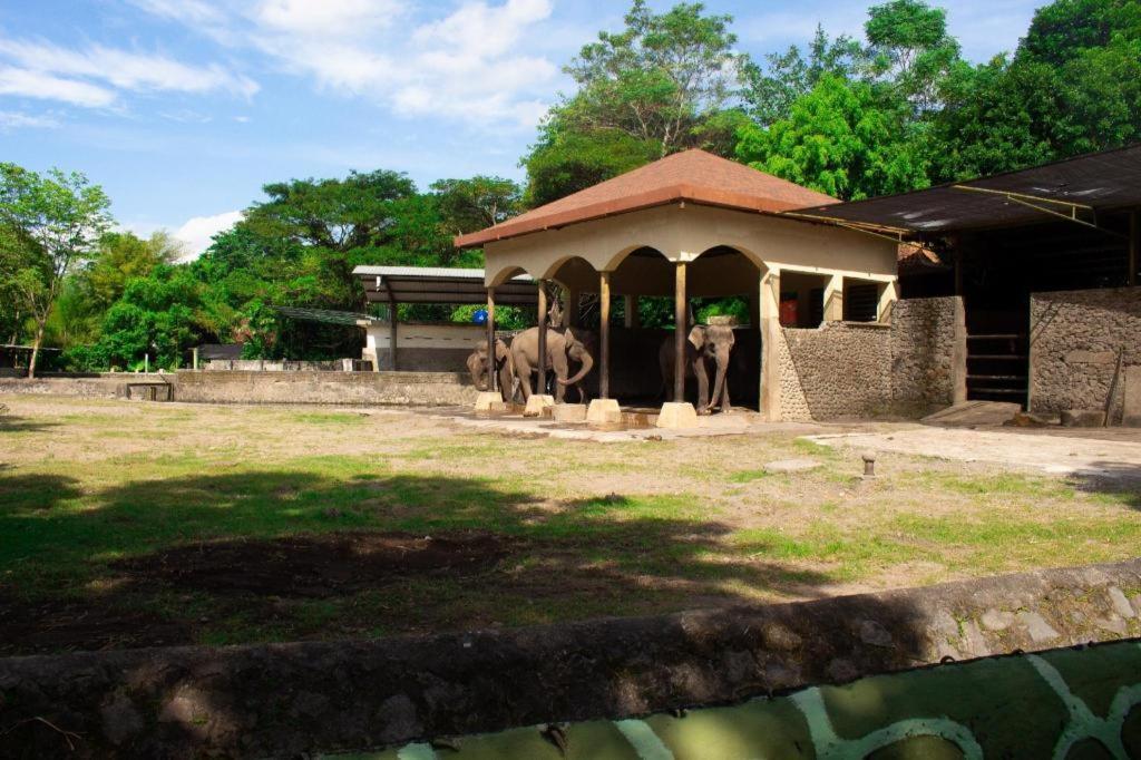 Bhumi Hostel Yogyakarta Kültér fotó