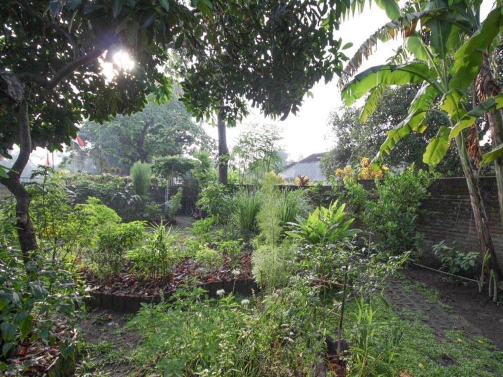 Bhumi Hostel Yogyakarta Kültér fotó
